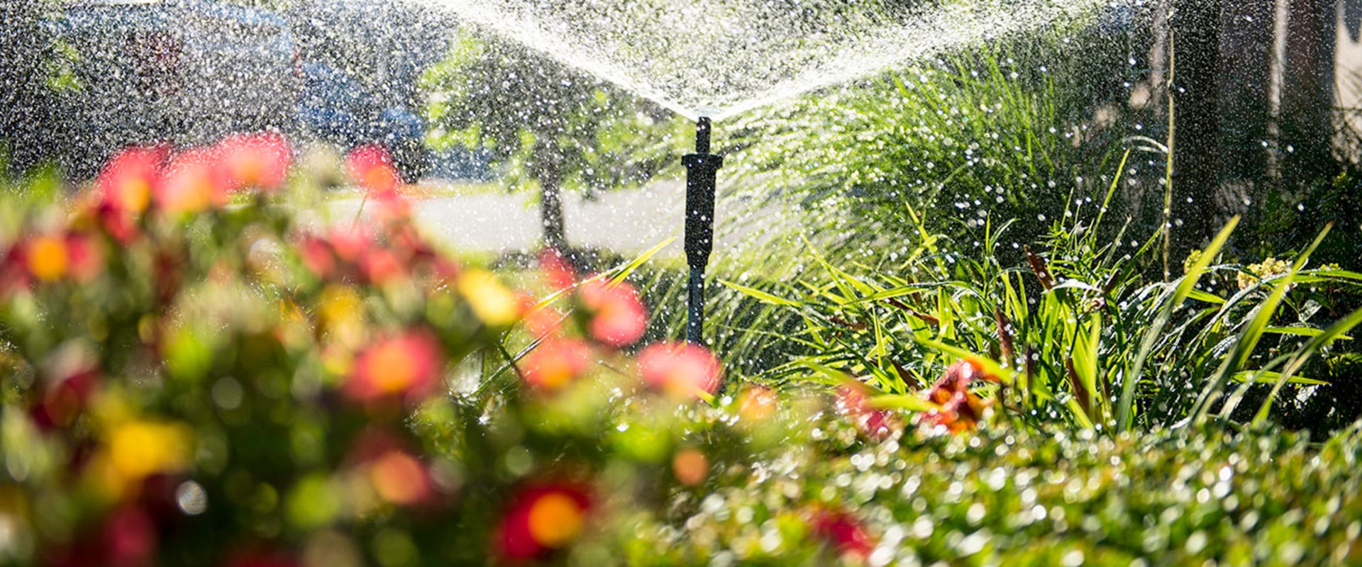 A Complete Guide to Installing Irrigation Systems in New Zealand