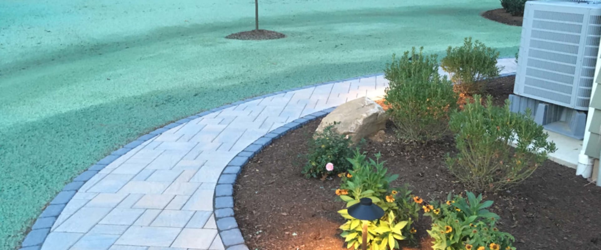 The Future of Lawn Care: Hydroseeding for Auckland Homes