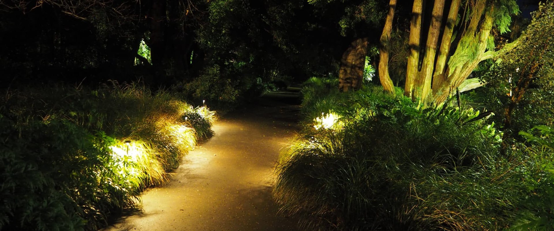 Outdoor Lighting Design and Installation: Illuminating Your New Zealand Landscape