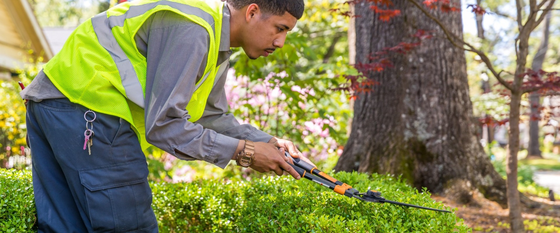 Pruning and Trimming Trees and Shrubs: Essential Tips for Maintaining a Beautiful Landscape