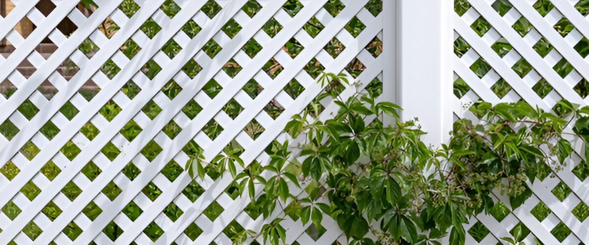 Outdoor Privacy Ideas That Complement Your Garden Design
