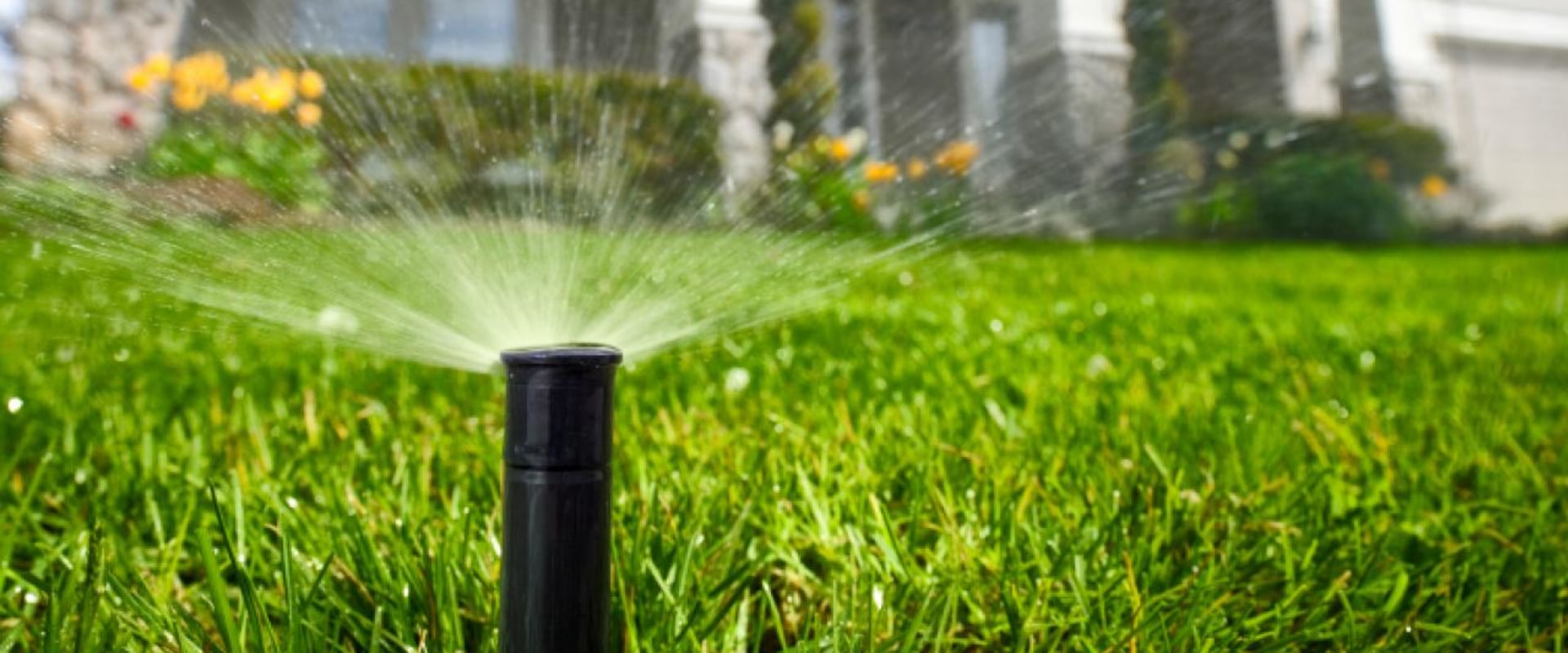 Everything You Need to Know About Irrigation System Installation and Repair