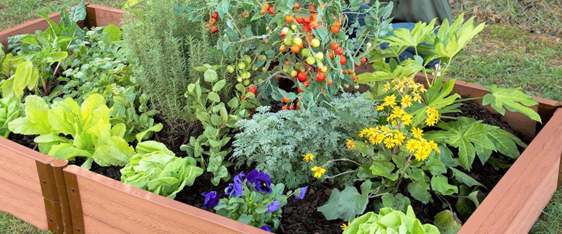 Tips for Maintaining Your Garden During the Growing Season