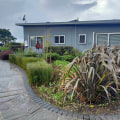 Choosing the Right Plants for Your Climate: Tips and Ideas for Landscaping in New Zealand