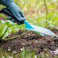 Watering and Fertilizing Plants: A Guide for Maintaining Your Landscape