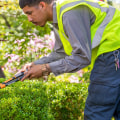 Pruning and Trimming Trees and Shrubs: Essential Tips for Maintaining a Beautiful Landscape