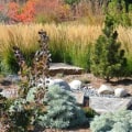 Creating a Xeriscape Design Plan: Transform Your Outdoor Space with Water-Wise Landscaping