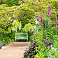 Designing and Implementing an English Garden: How to Create a Beautiful Outdoor Space