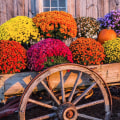 Preparing Your Garden for Winter: Tips and Tricks from Landscape Design Experts