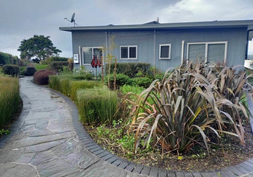 Choosing the Right Plants for Your Climate: Tips and Ideas for Landscaping in New Zealand