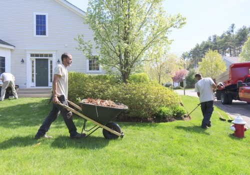 Seasonal Clean-Up and Pruning Services: A Guide to Maintaining Your Outdoor Spaces