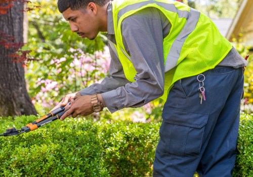 Pruning and Trimming Trees and Shrubs: Essential Tips for Maintaining a Beautiful Landscape