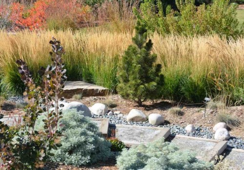 Creating a Xeriscape Design Plan: Transform Your Outdoor Space with Water-Wise Landscaping