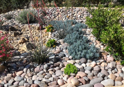 Understanding the Principles of Xeriscaping